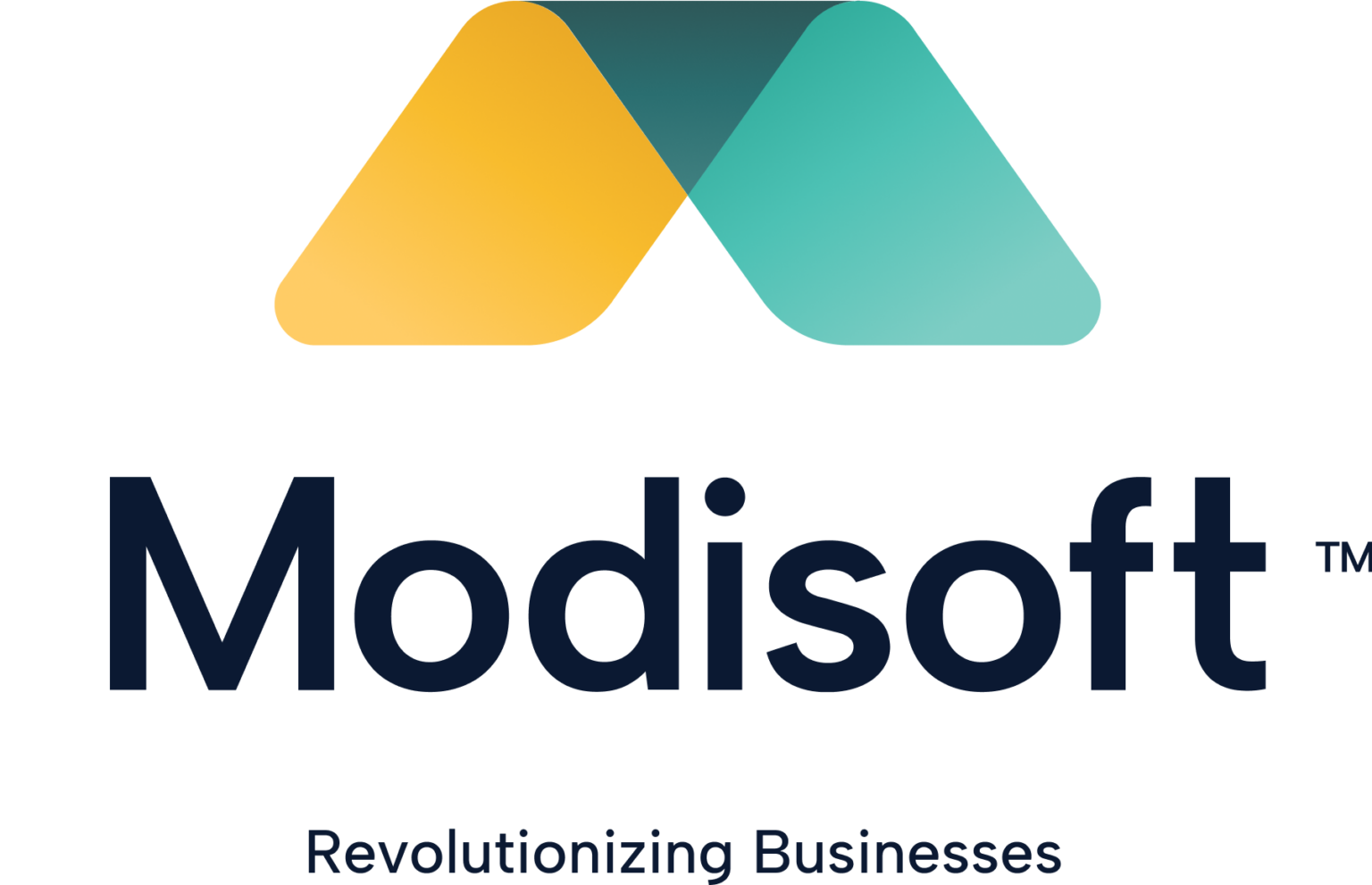 Media Kit & Brochure | Modisoft