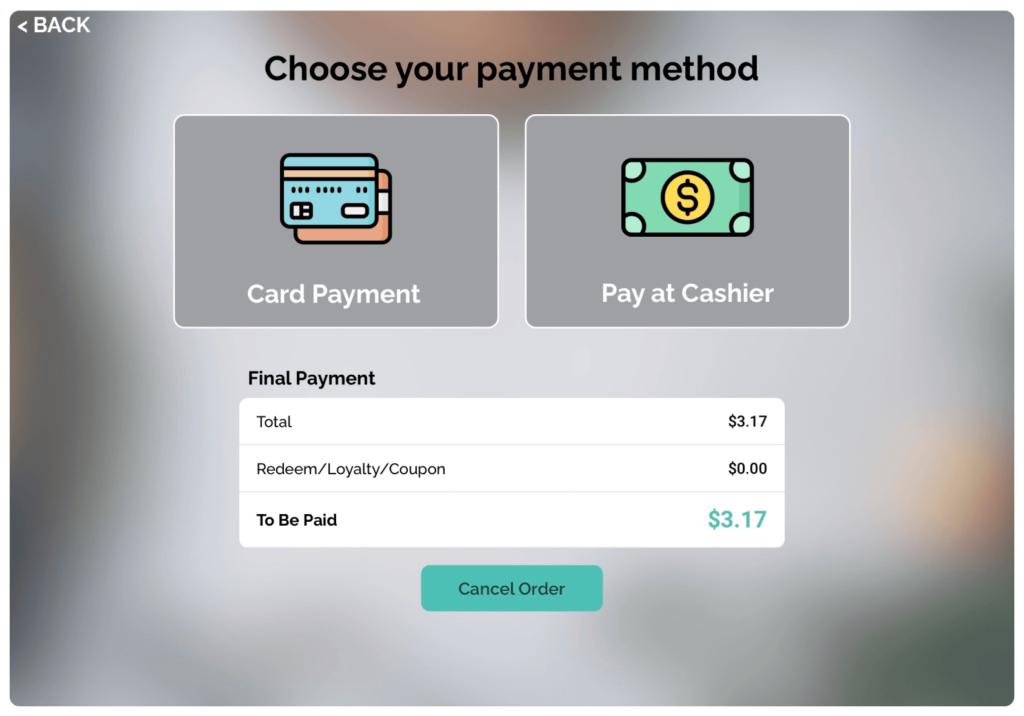 Screen displaying Modisoft payment method interface.