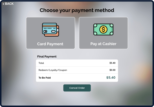 Screen displaying Modisoft payment method interface