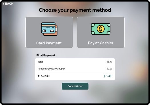Screen displaying Modisoft self-serve kiosk payment method interface.