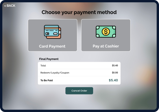 Screen displaying Modisoft payment method interface.