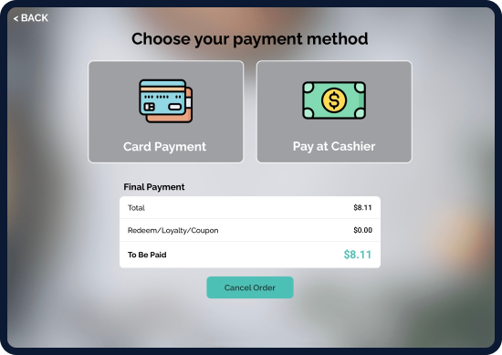 Screen displaying Modisoft self-serve kiosk payment method interface.